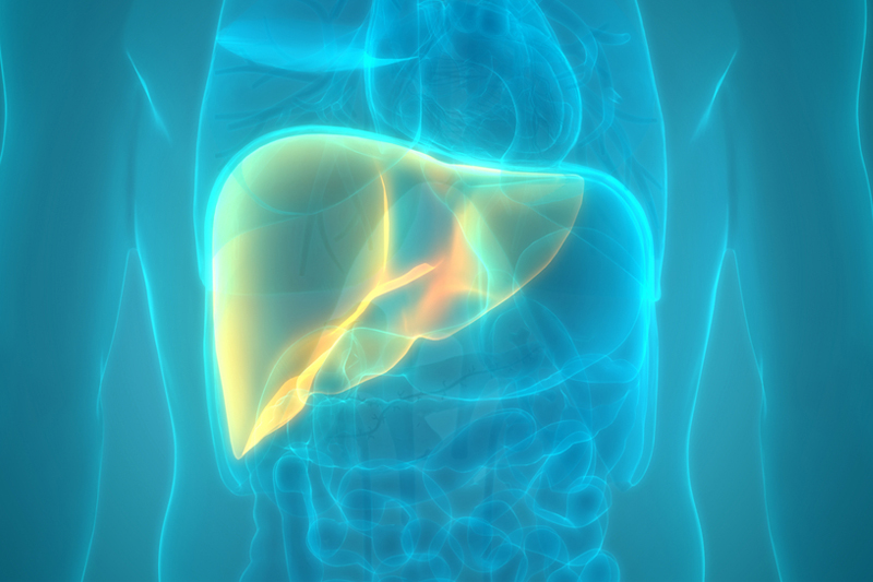 Hepatology test in Gurgaon & Dehli NCR